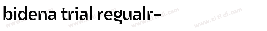 bidena trial regualr字体转换
